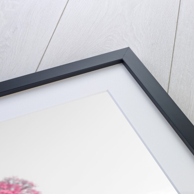 Tree on a hill by Assaf Frank